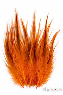Kraanvogel - 12-14 cm - oranje